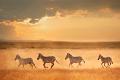 829 - RUNNING ZEBRA - XIAO GE - china